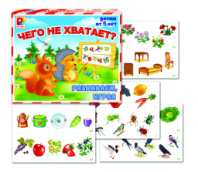 Развивающая игра. "Чего не хватает?"  Радуга купить в Интернет-магазине Мир детства Кострома