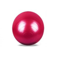 Купить мяч прыгун 75см в интернет-магазине Мир детства. Доставка по всей России. Звоните и заказывайте: 8 (4942) 54-44-01 Мяч прыгун 75см купить в Интернет-магазине Мир детства Кострома