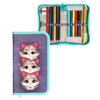 Пенал 1 секция 115*205 наполн. лам.карт 30П26/set Calligrata 16предм дев "Котики" 9498310 купить в Интернет-магазине Мир детства Кострома