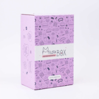 MilotaBox mini "Princess" купить в Интернет-магазине Мир детства Кострома