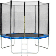 Батут спортивный на металлическом каркасе с натянутой защитной сеткой, д/р 244 см. купить в Интернет-магазине Мир детства Кострома